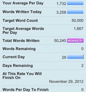 NaNoWriMo 2012